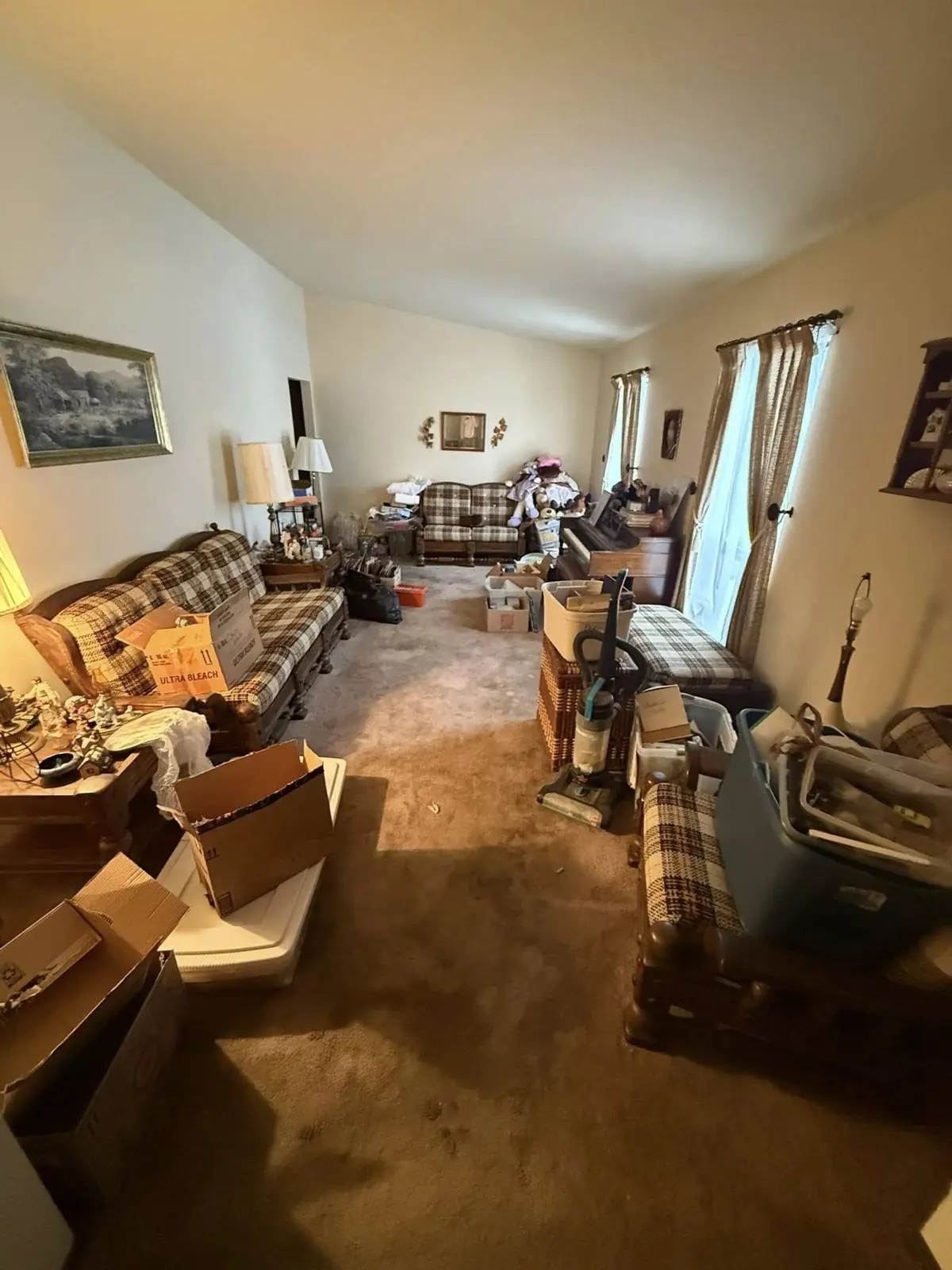 Before: Living room cleanout